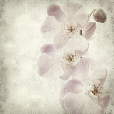 desenli eski kağıt arkaplan