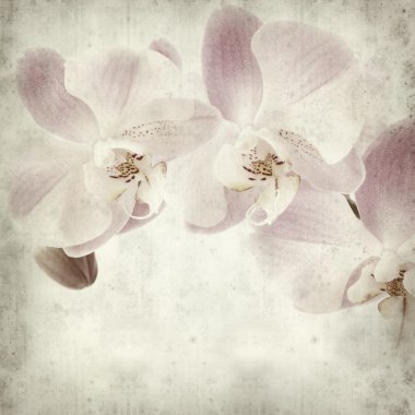 desenli eski kağıt arkaplan