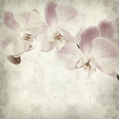 desenli eski kağıt arkaplan