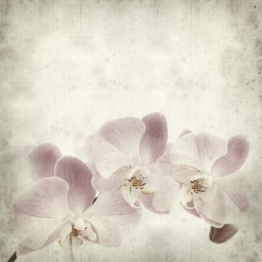 desenli eski kağıt arkaplan