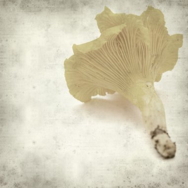 desenli eski kağıt arkaplan