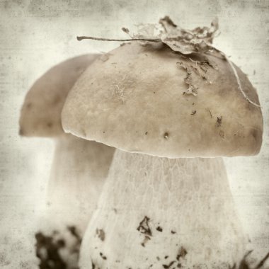 desenli eski kağıt arkaplan