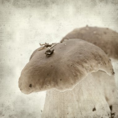 desenli eski kağıt arkaplan