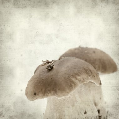 desenli eski kağıt arkaplan