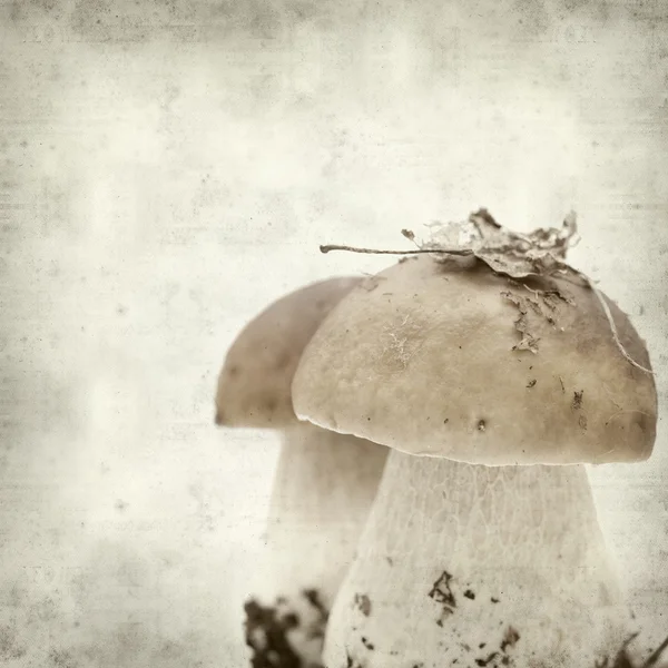 desenli eski kağıt arkaplan