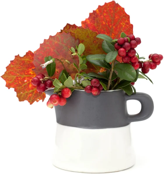 Herfst stilllife — Stockfoto