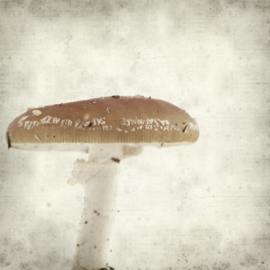 desenli eski kağıt arkaplan