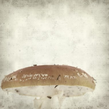 desenli eski kağıt arkaplan