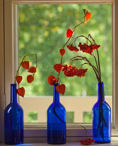 Popel berry kytici v modré láhvi — Stock fotografie