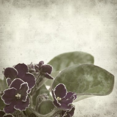 desenli eski kağıt arkaplan