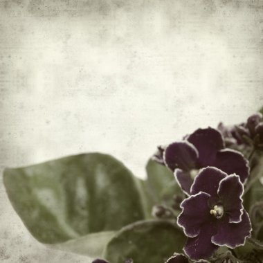 desenli eski kağıt arkaplan