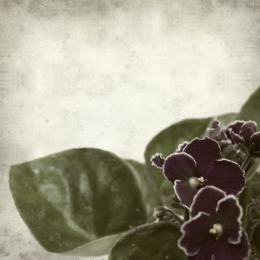 desenli eski kağıt arkaplan