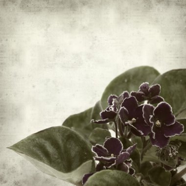 desenli eski kağıt arkaplan