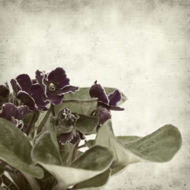 desenli eski kağıt arkaplan