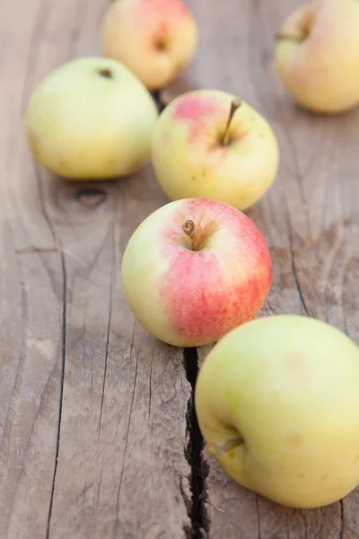 Herfst — Stockfoto