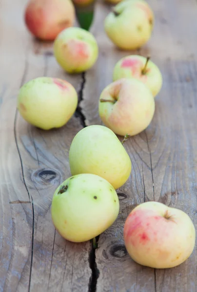 Herfst — Stockfoto