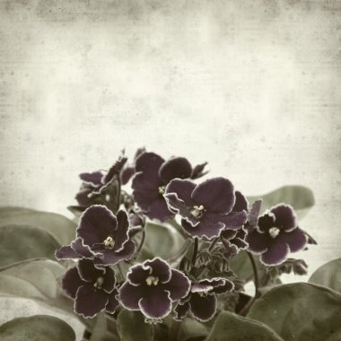 desenli eski kağıt arkaplan