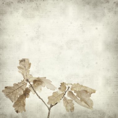 desenli eski kağıt arkaplan