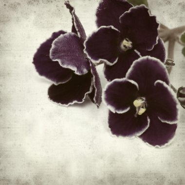 desenli eski kağıt arkaplan