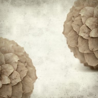 desenli eski kağıt arkaplan