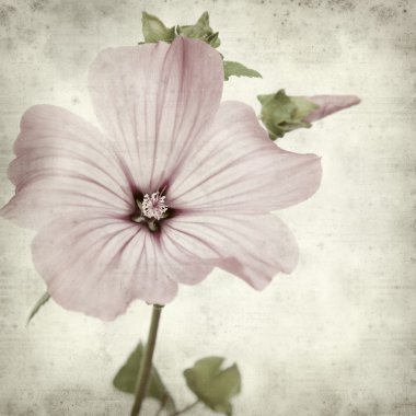 desenli eski kağıt arkaplan