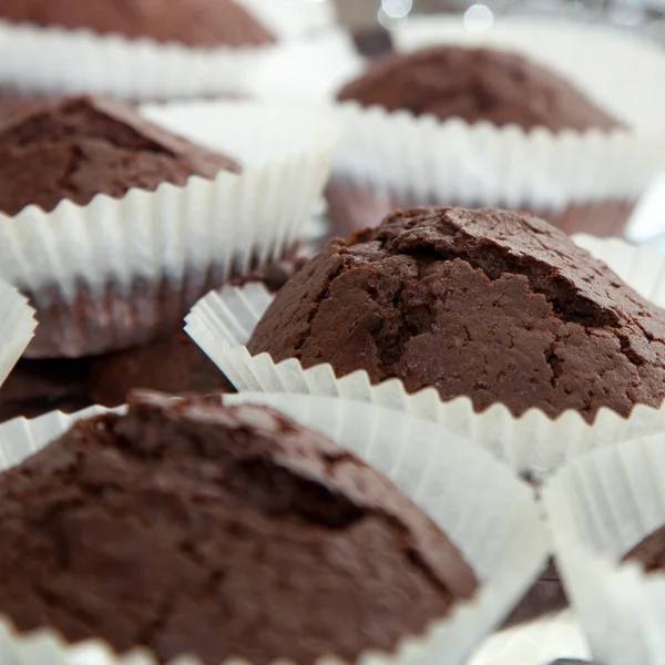 Chocolate mini-muffins Stock Picture