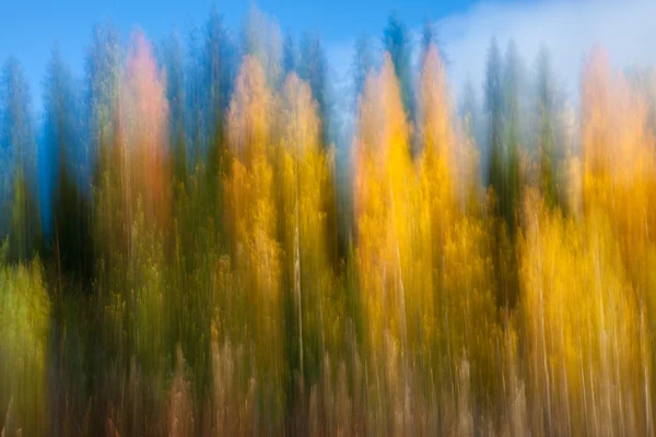 Abstração florestal outonal — Fotografia de Stock