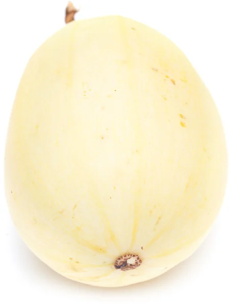 Squash isolated — Stock Photo, Image