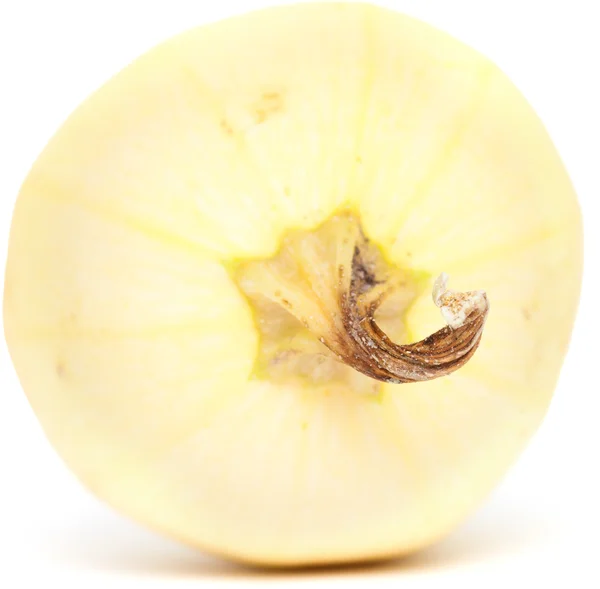 Squash terisolasi — Stok Foto