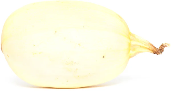 Squash isolated — Stock Photo, Image