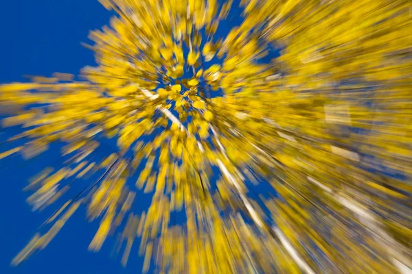 Autumnal fireworks — Stock Photo, Image