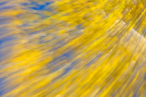 Autumnal forest abstraction — Stock Photo, Image