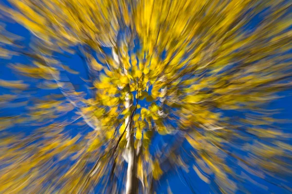 Autumnal fireworks — Stock Photo, Image