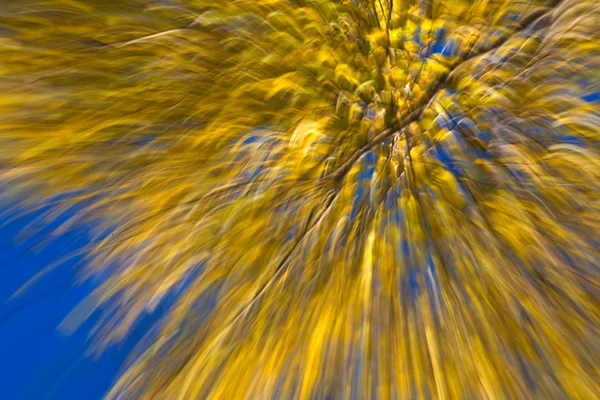 Autumnal fireworks — Stock Photo, Image