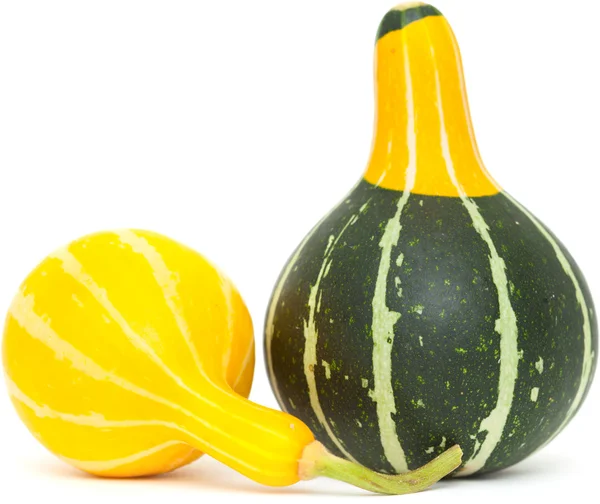 Ornamental gourd — Stock Photo, Image