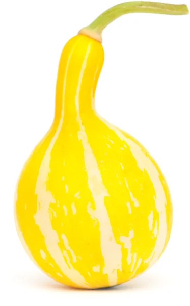 Calabaza ornamental — Foto de Stock