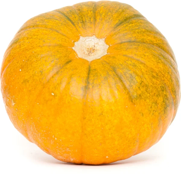 Calabaza aislada — Foto de Stock