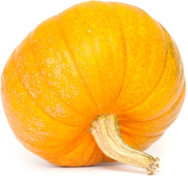 Calabaza aislada — Foto de Stock