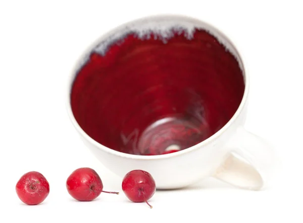 Cangrejos y taza roja y blanca — Foto de Stock
