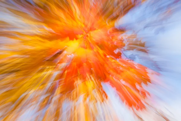 Autumnal fireworks — Stock Photo, Image