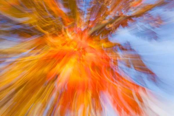 Autumnal fireworks — Stock Photo, Image