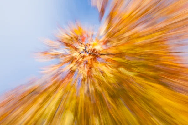 Autumnal fireworks — Stock Photo, Image