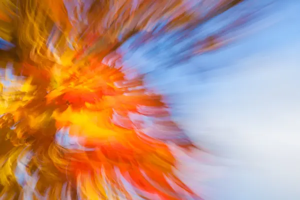 Autumnal fireworks — Stock Photo, Image