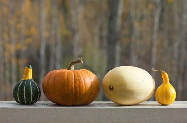 Calabazas —  Fotos de Stock