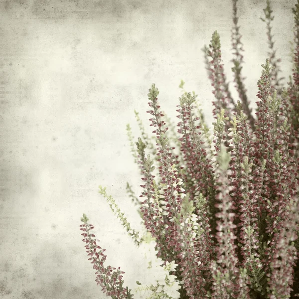 Textured old paper background — Stock Photo, Image