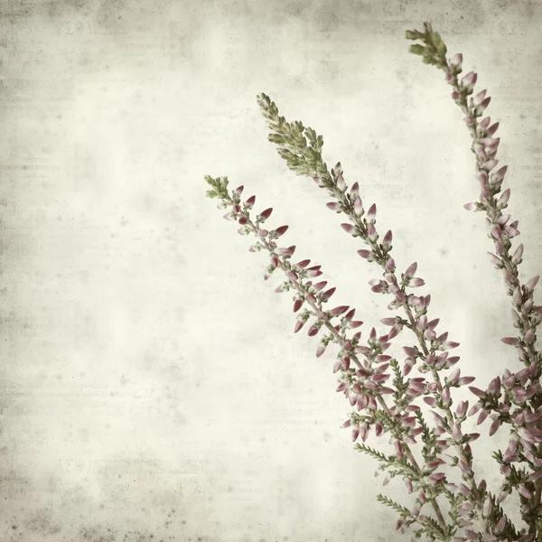 Textured old paper background — Stock Photo, Image