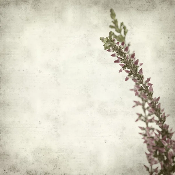 Textured old paper background — Stock Photo, Image