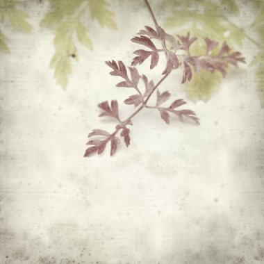 desenli eski kağıt arkaplan