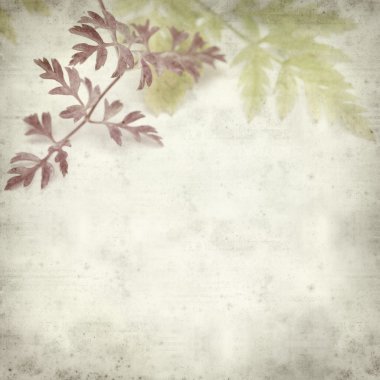 desenli eski kağıt arkaplan