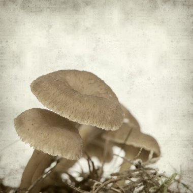 desenli eski kağıt arkaplan